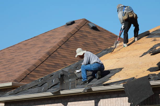 Best Roof Coating and Sealing  in Morenci, AZ